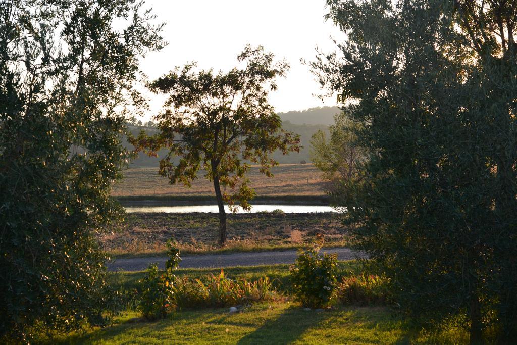 Agriturismo Podere Micitto Usi Phòng bức ảnh