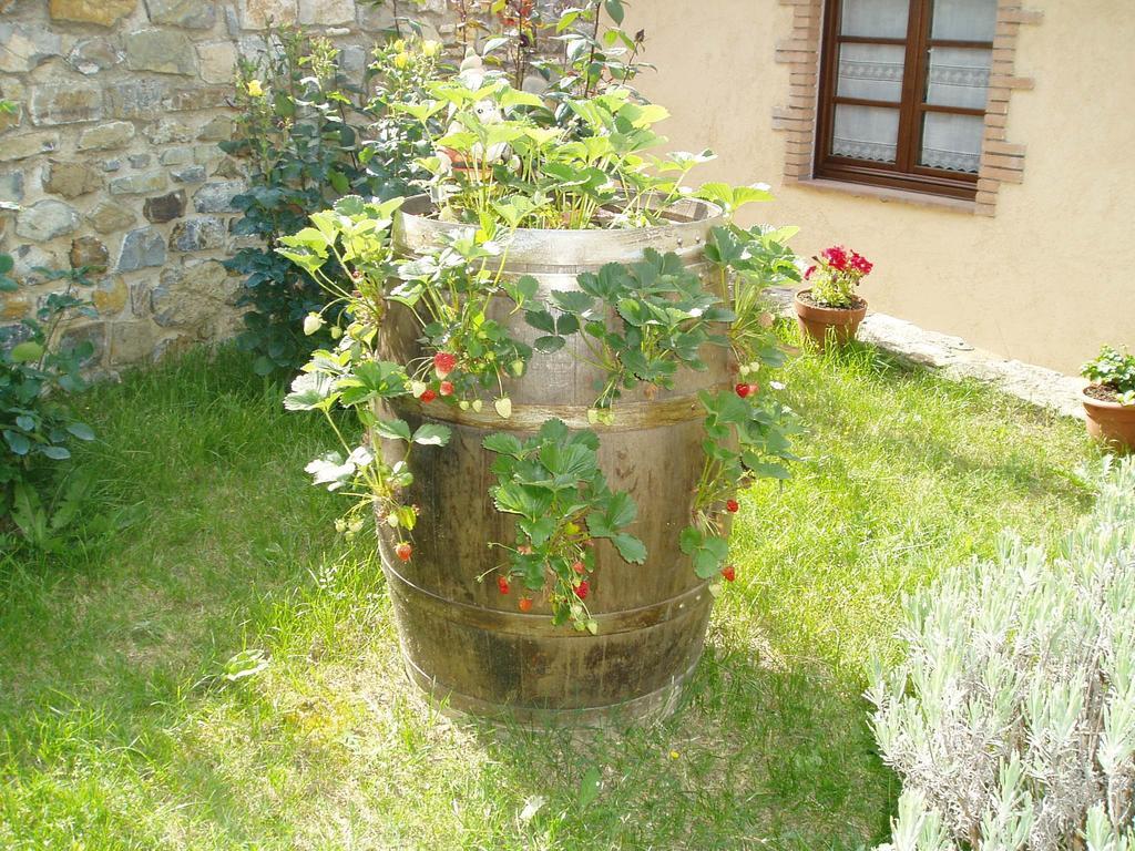 Agriturismo Podere Micitto Usi Ngoại thất bức ảnh