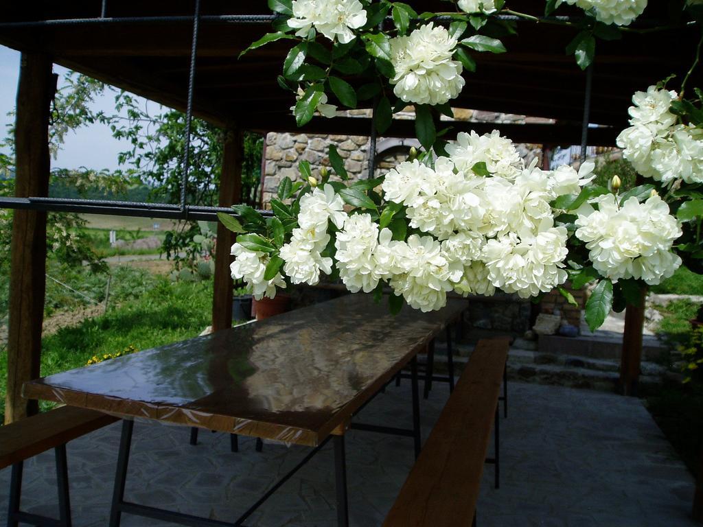 Agriturismo Podere Micitto Usi Ngoại thất bức ảnh